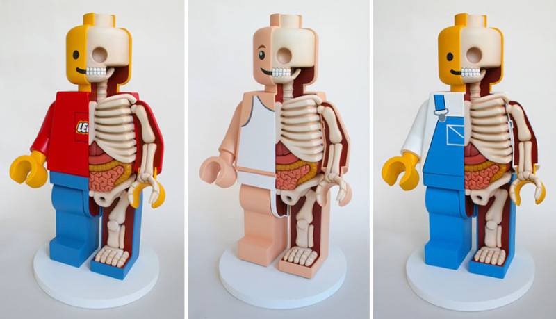 children-toy-cartoon-anatomy-bones-insides-jason-freeny-17__880