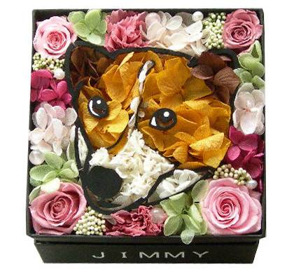 日本有愛犬保鮮花盒，可訂製！